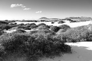 January -- Dunes