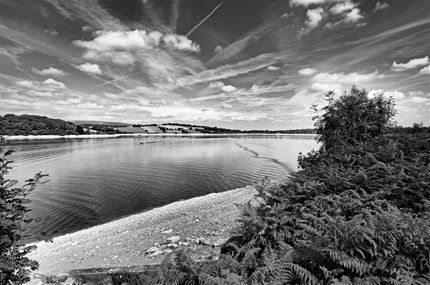 Llandegfedd Reservoir