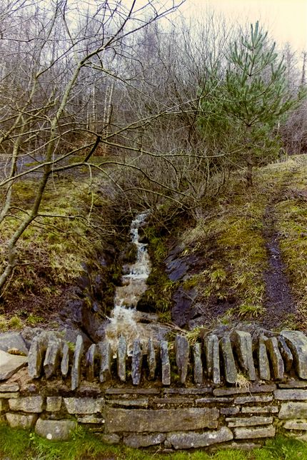 Mountain Stream Penallta Park