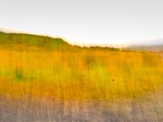 Sultan The Pit Pony (ICM) (Click Image to see Full picture)